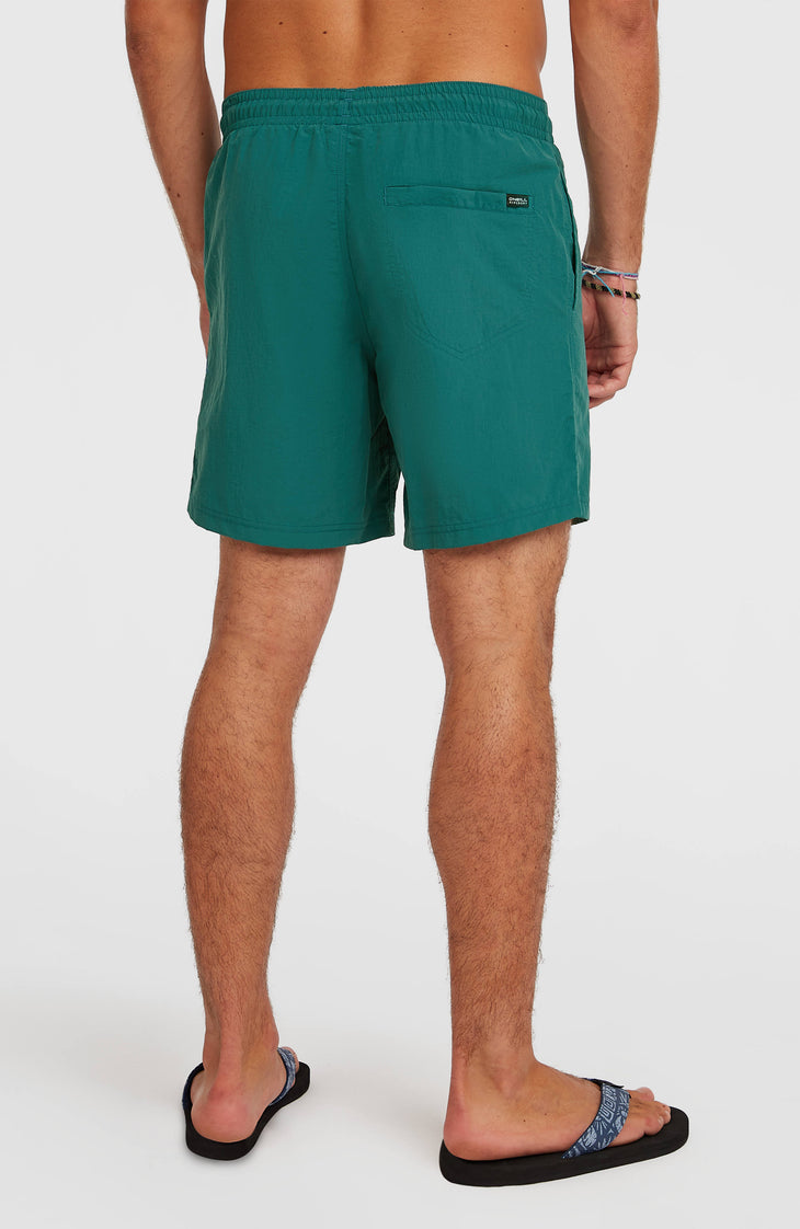 O'Neill Vert 16'' Swimshorts | Botanical Heat