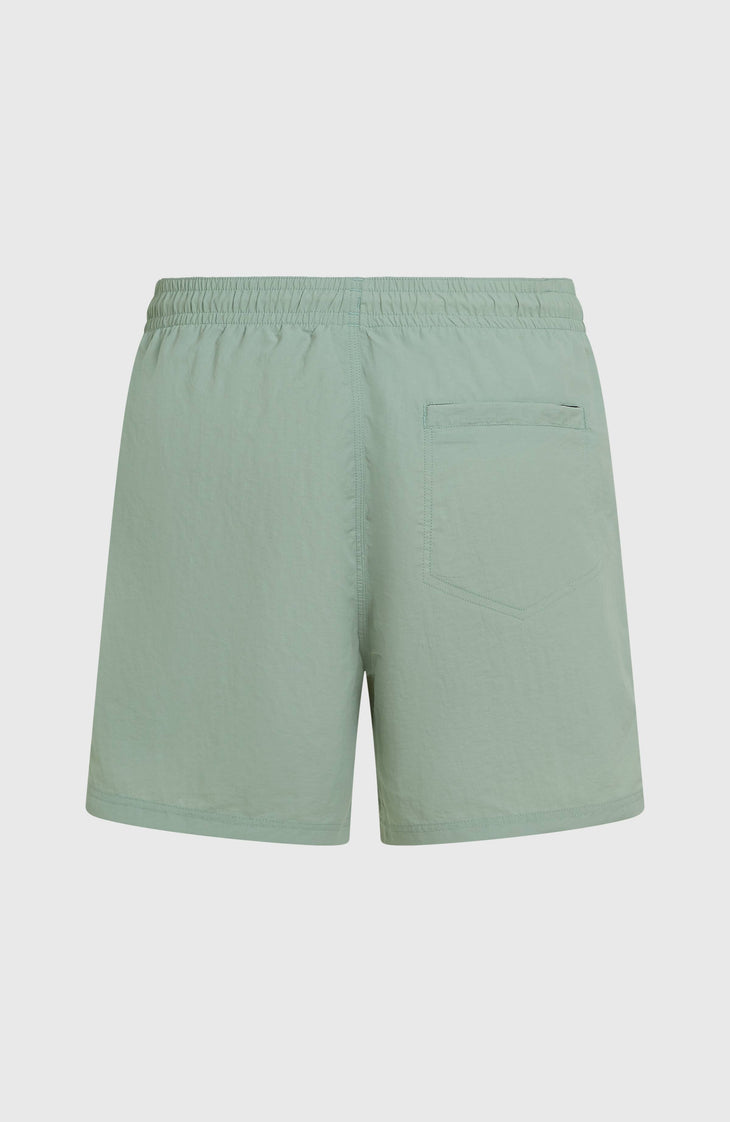O'Neill Vert 16'' Swimshorts | Marble Arch