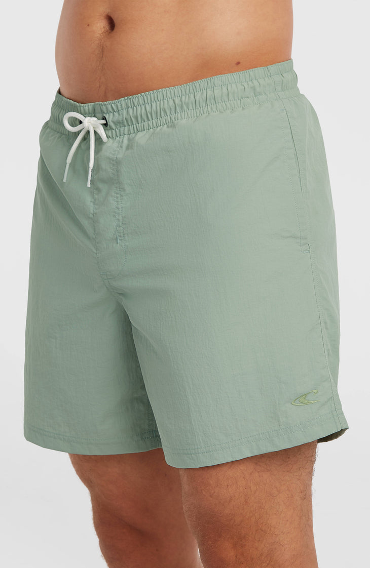 O'Neill Vert 16'' Swimshorts | Marble Arch