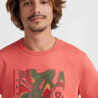O'Neill TRVLR Series Pacific Polygiene T-Shirt | Red Orcher