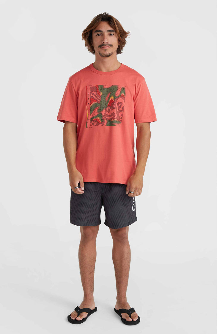 O'Neill TRVLR Series Pacific Polygiene T-Shirt | Red Orcher