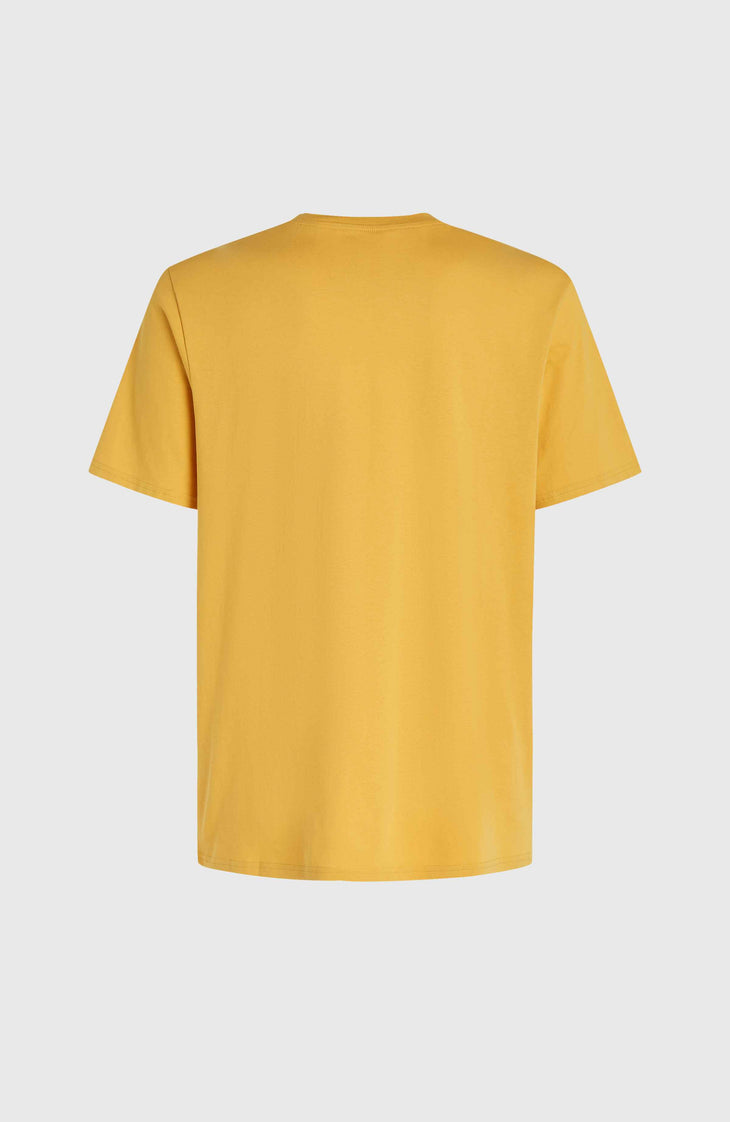 Mix and Match Floral Graphic T-Shirt | Golden Haze