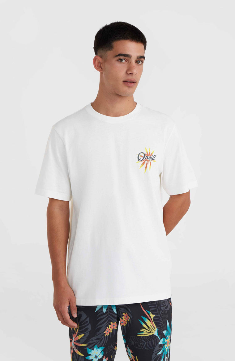 O'Neill Beach Graphic T-Shirt | Snow White O'Neill Beach Graphic T-Shirt | Snow White