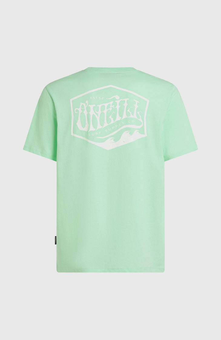 Box Logo T-Shirt | Mildrew Mint