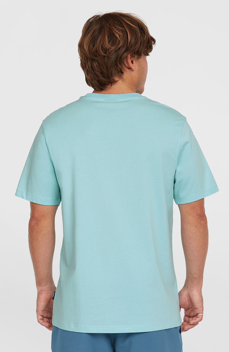 Small Logo T-Shirt | Morning Glory
