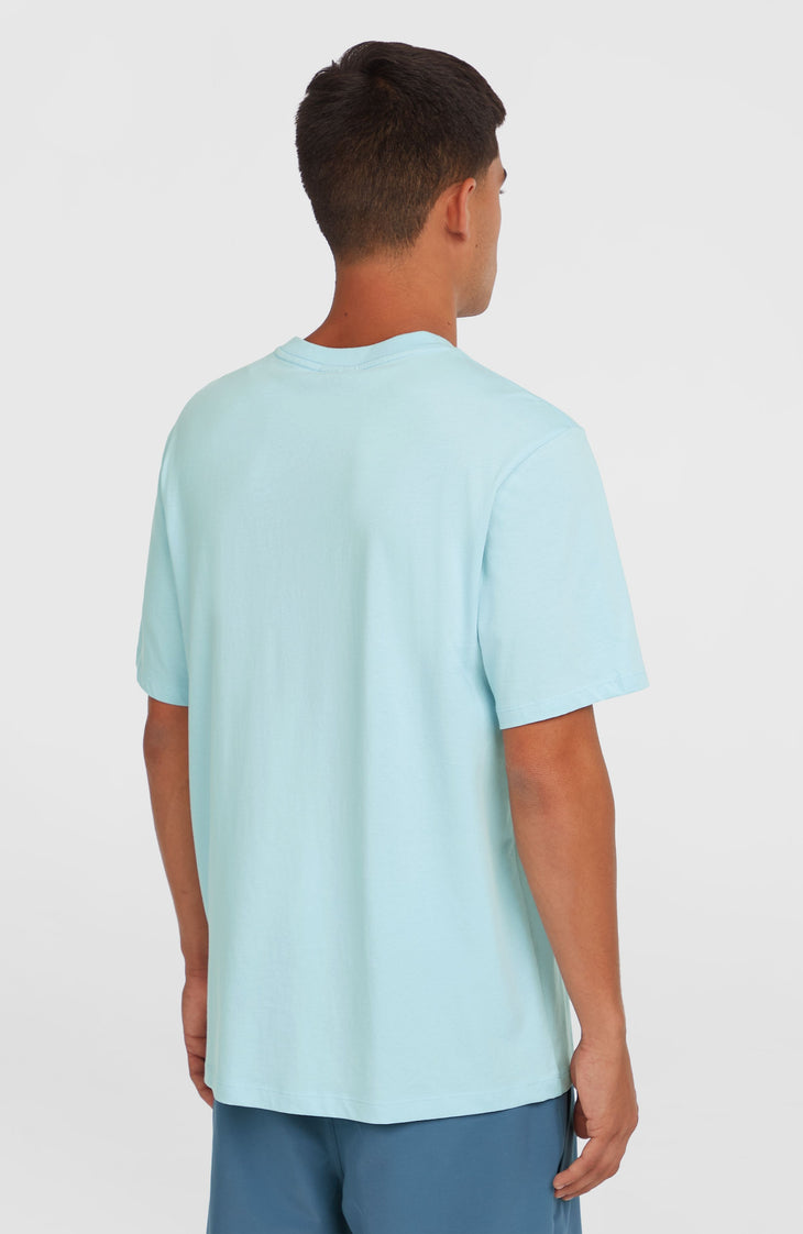 Chest Print T-Shirt | Morning Glory