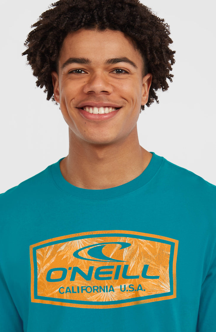 Graphic T-Shirt | Island Breeze