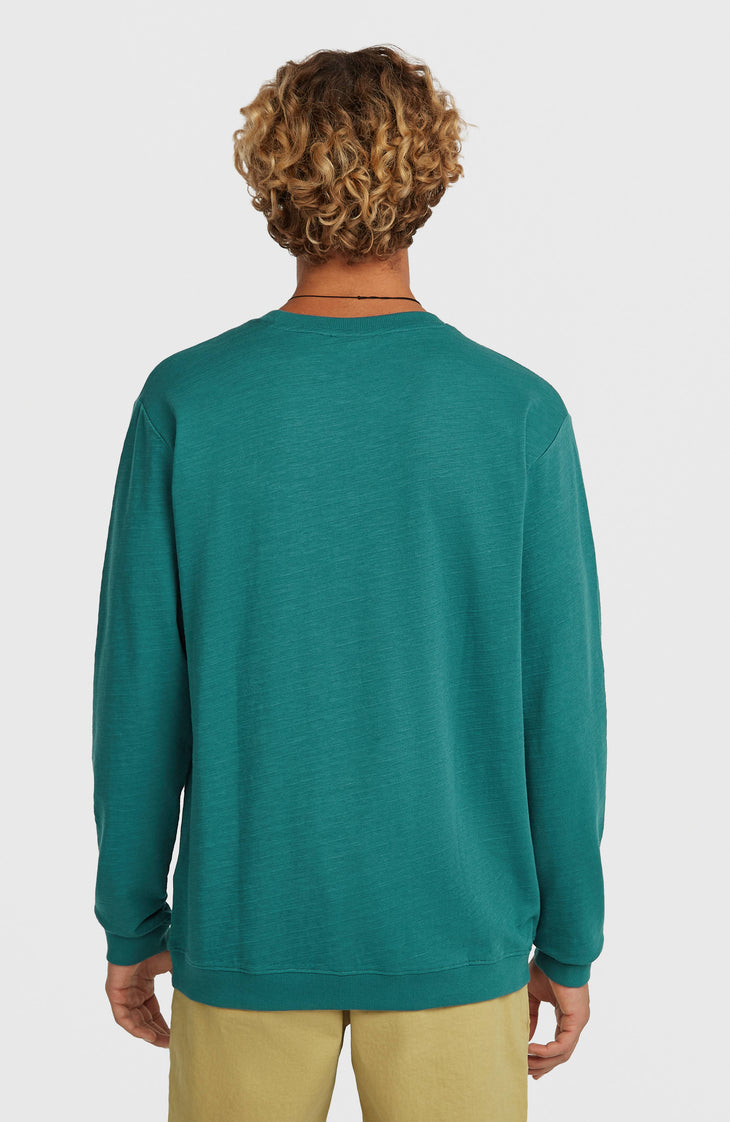 O'Neill Slub Long-Sleeve T-Shirt | Botanical Heat