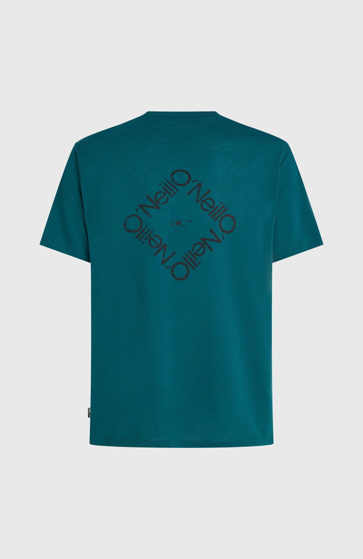 O'Neill Hybrid Polygiene Back-Print T-Shirt | Botanical Heat