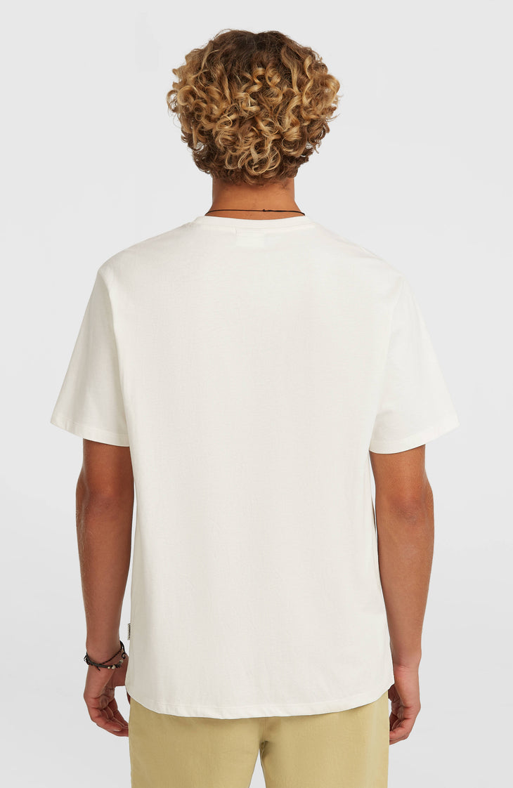 O’Neill Melange Front Print T-Shirt | Snow White