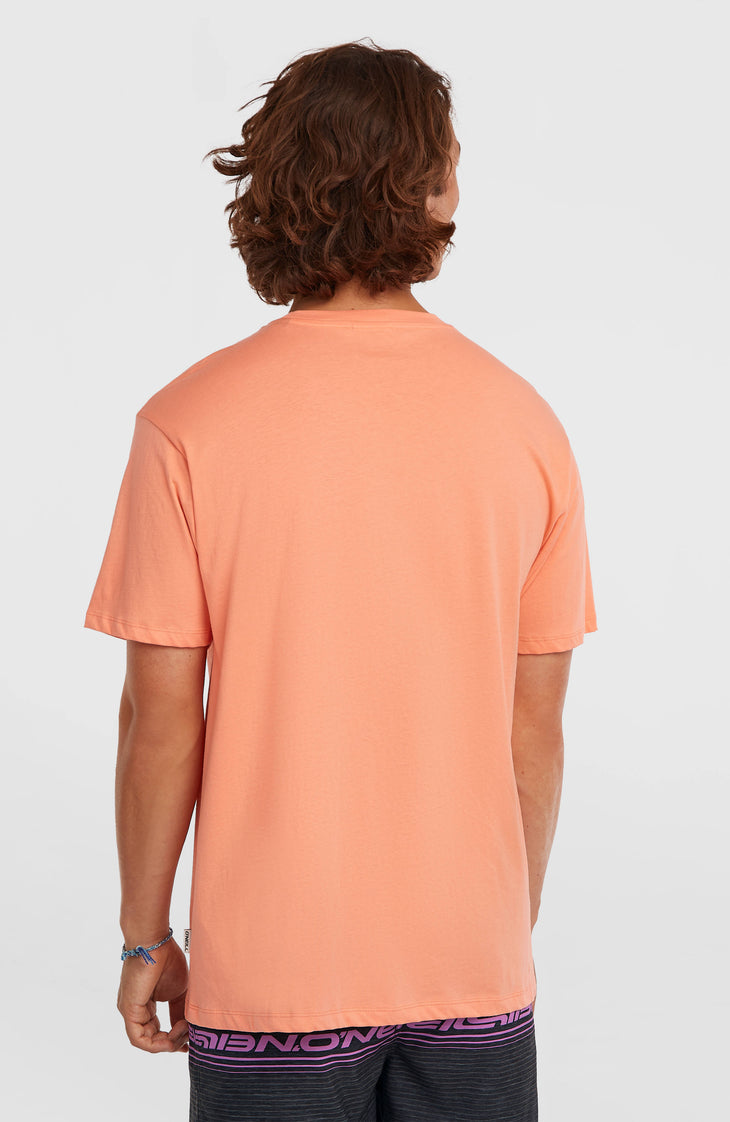 O’Neill Logo Stripe T-Shirt | Funky Peach