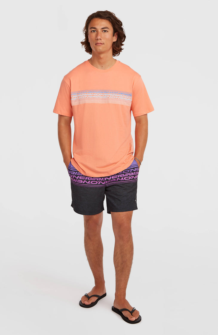 O’Neill Logo Stripe T-Shirt | Funky Peach
