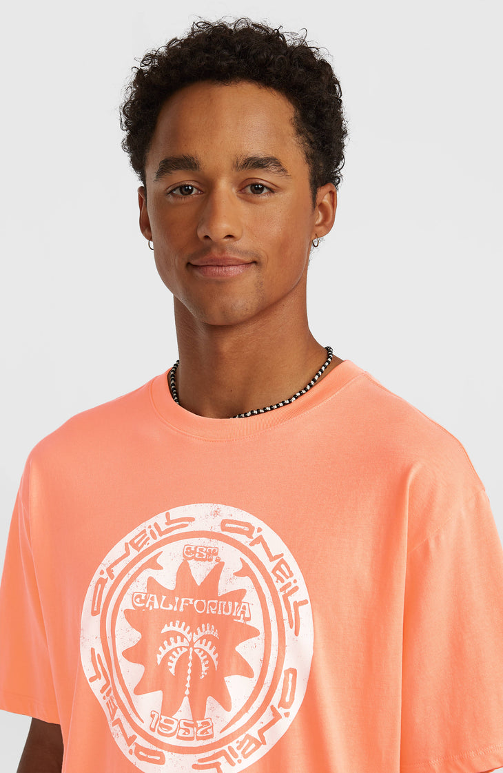 O'Neill Must-Have Graphic T-Shirt | Funky Peach