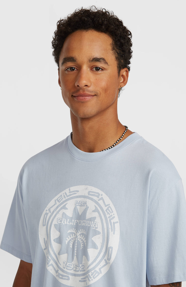 O'Neill Must-Have Graphic T-Shirt | Spindle