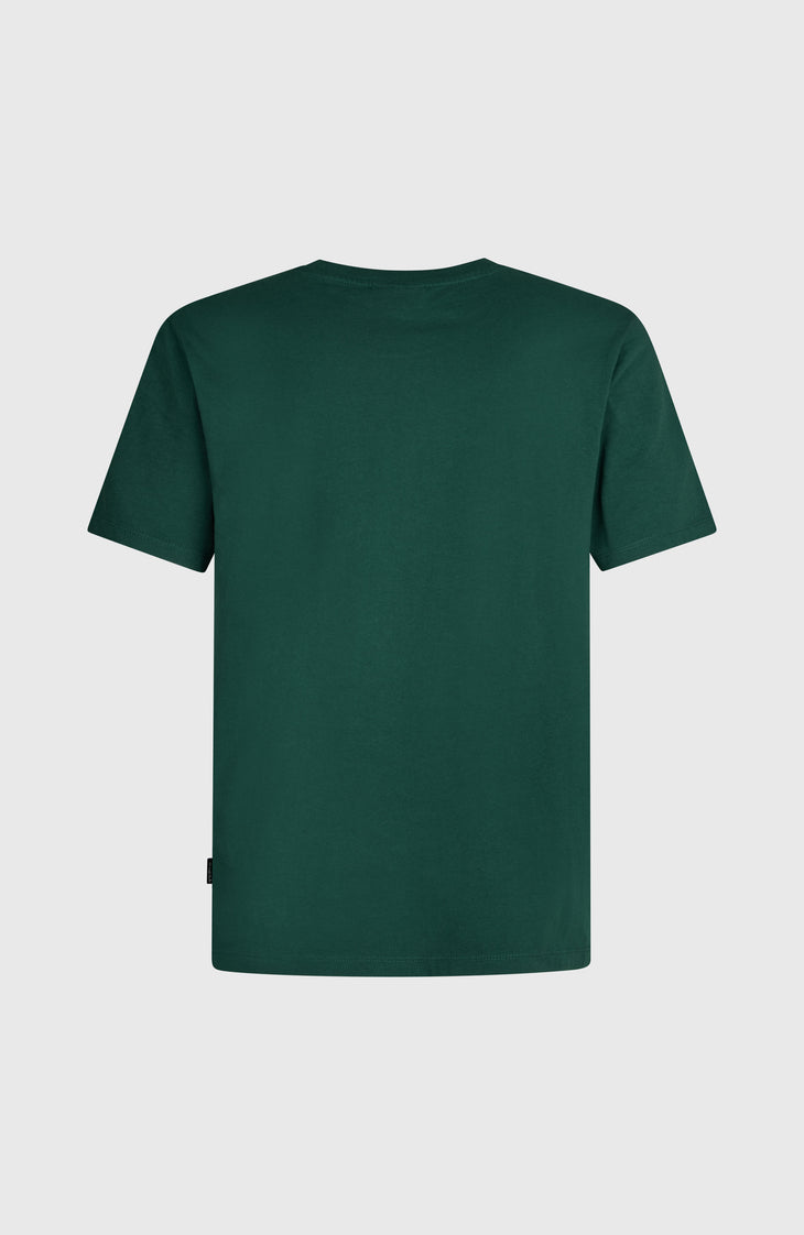 O'Neill Small Logo T-Shirt | Emerald Envy