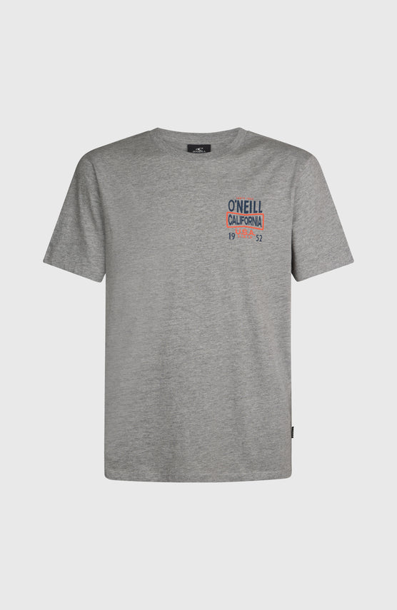O'Neill Small Logo T-Shirt | Silver Melee