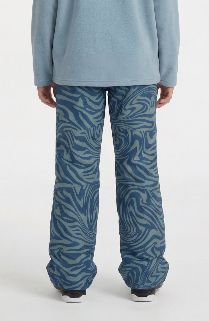 FWC'Cruz Snow Pants | Blue Swirl Zebra