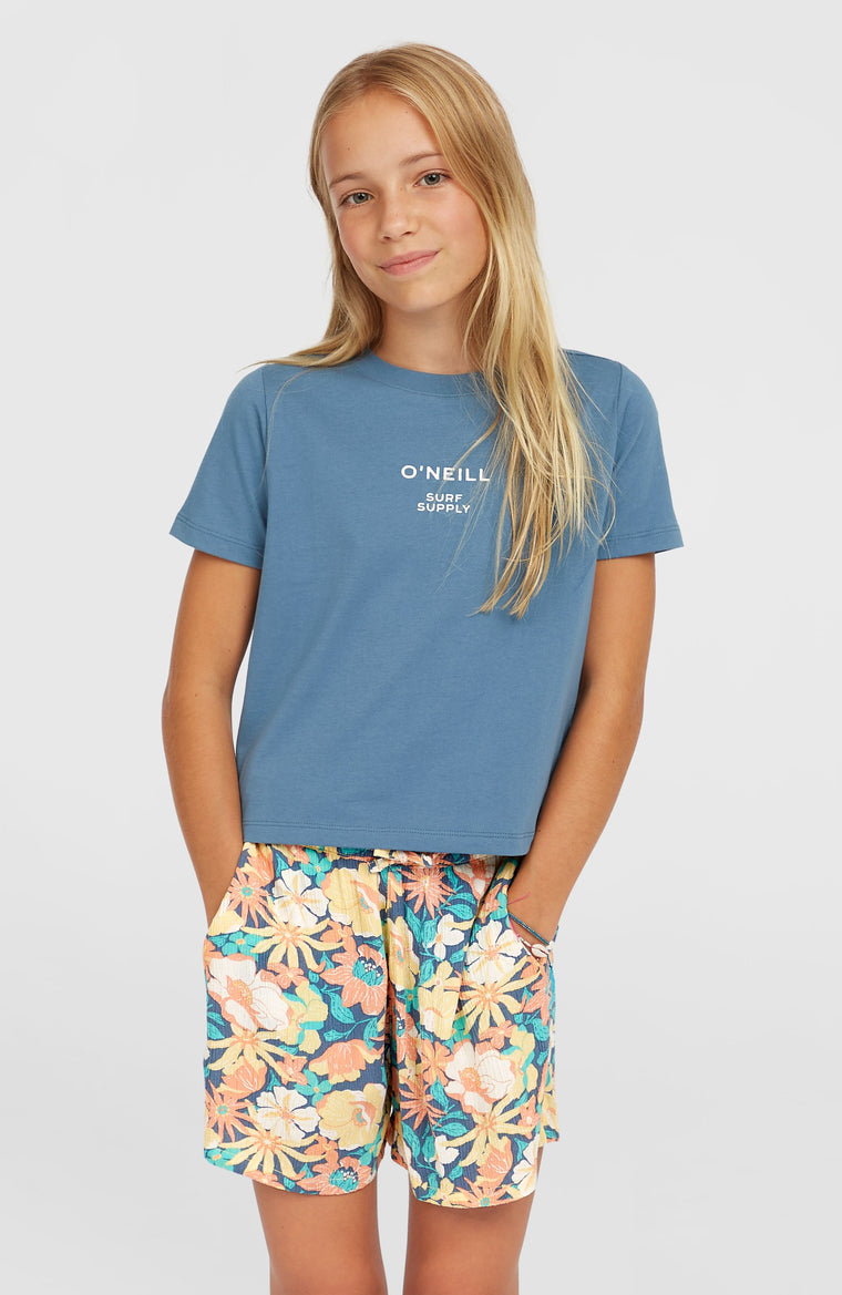 Summer Woven Shorts | Blue Santa Monica Summer Woven Shorts | Blue Santa Monica