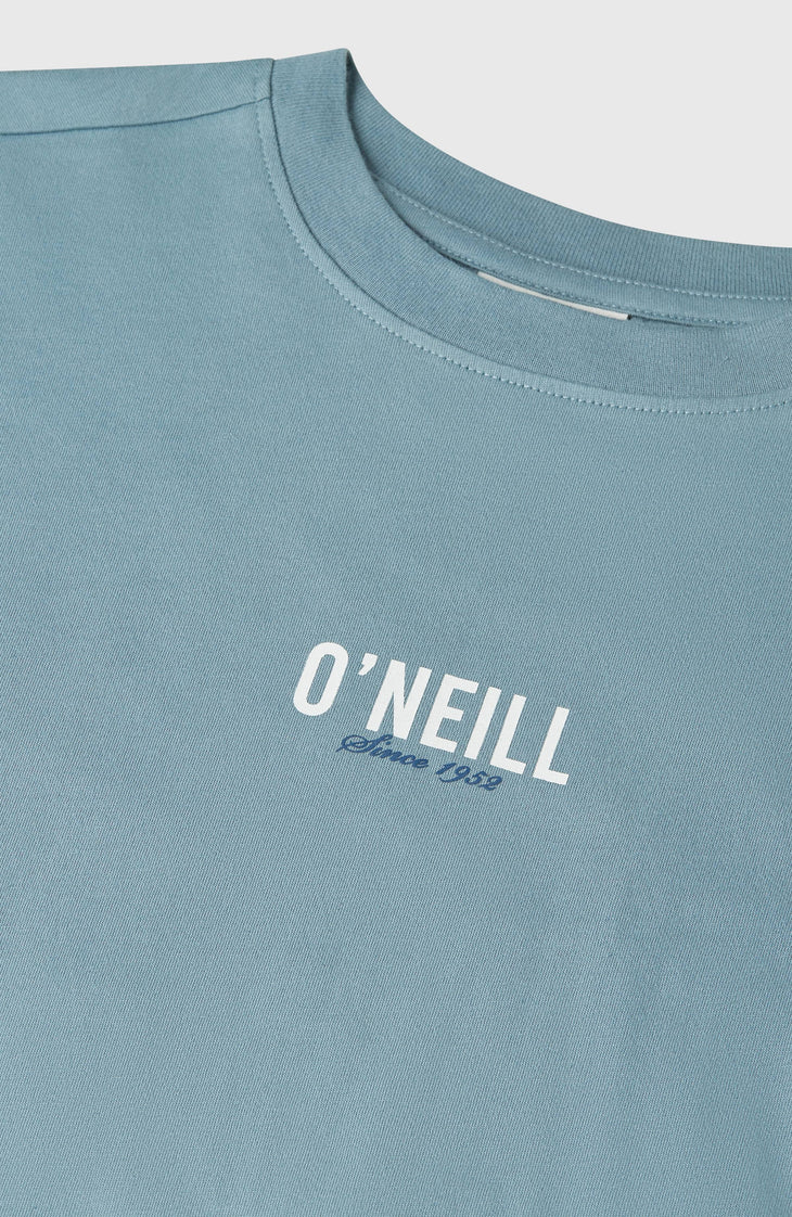 O'Neill Back Print T-Shirt | Murky Water
