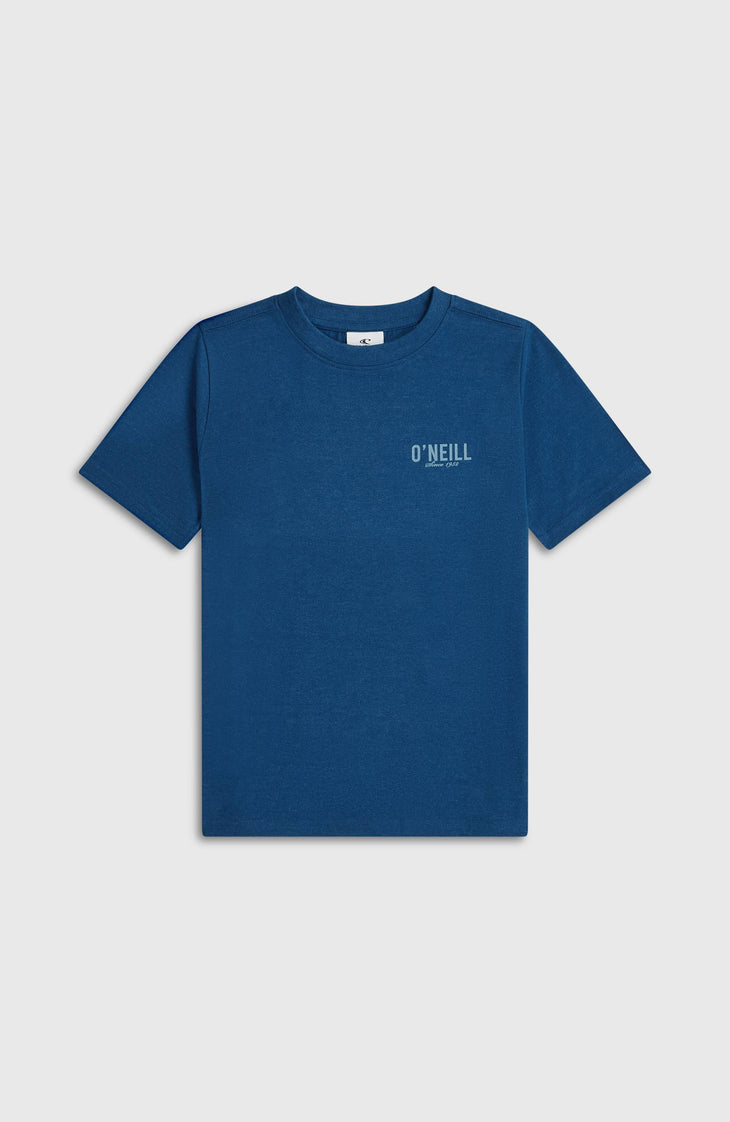 Essentials T-Shirt | Regal Blue