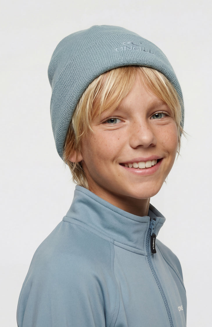 Logo Beanie | Murky Water