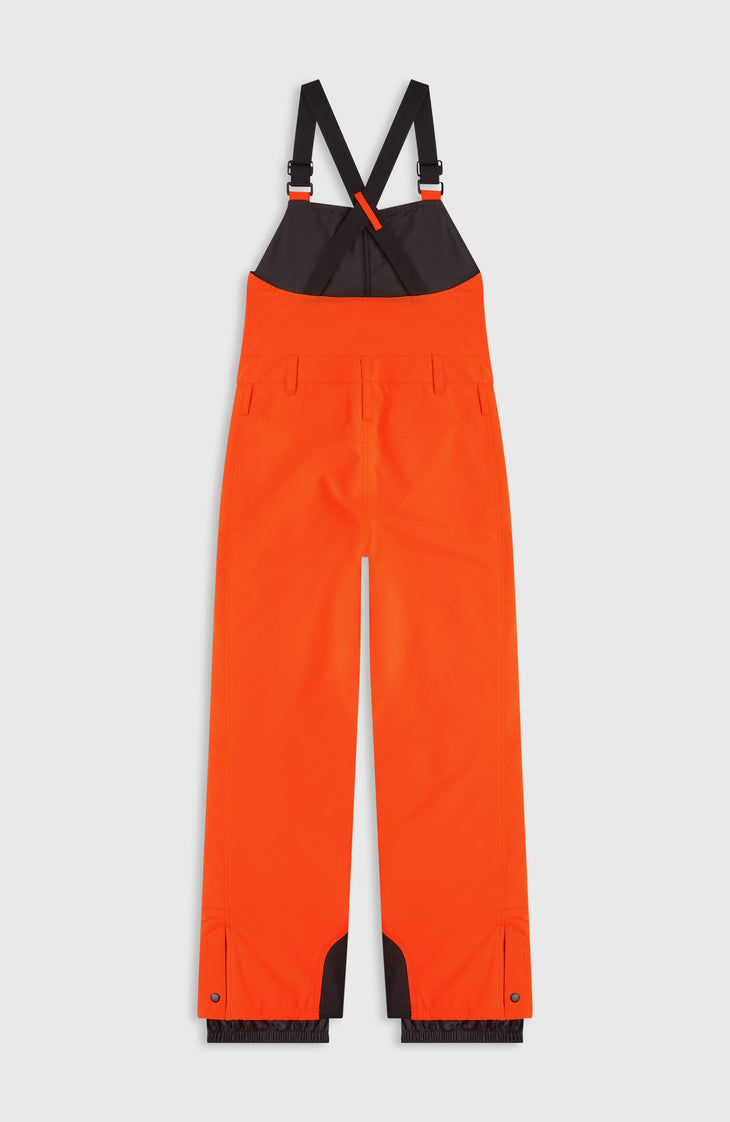 FWC'Cruz Bib Snow Pants | Tokyo Lights