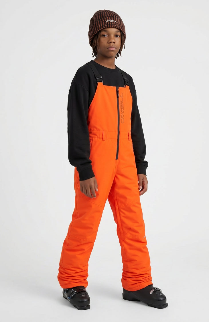 FWC'Cruz Bib Snow Pants | Tokyo Lights