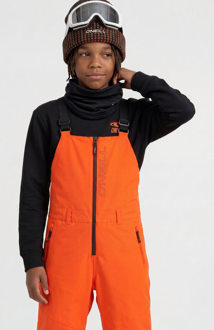FWC'Cruz Bib Snow Pants | Tokyo Lights