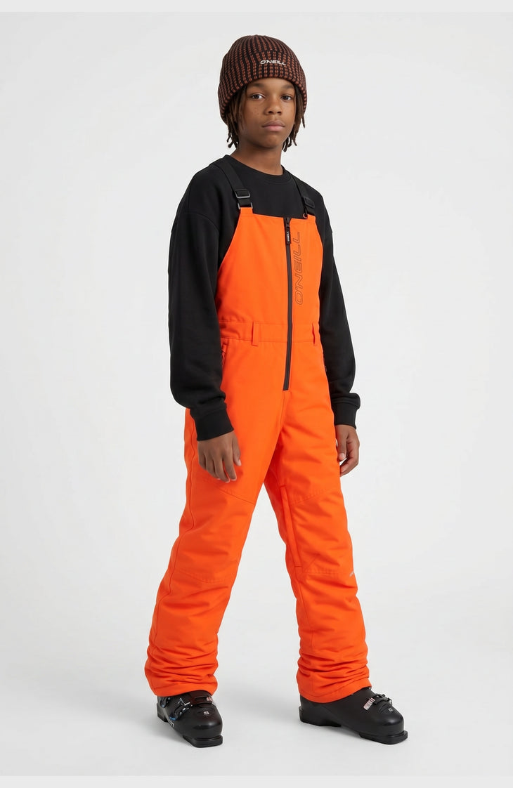 FWC'Cruz Bib Snow Pants | Tokyo Lights