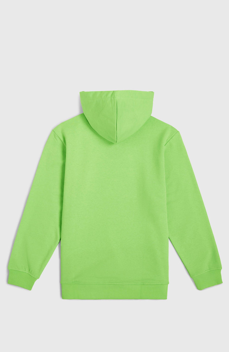 Logo Hoodie | Paradise Valley