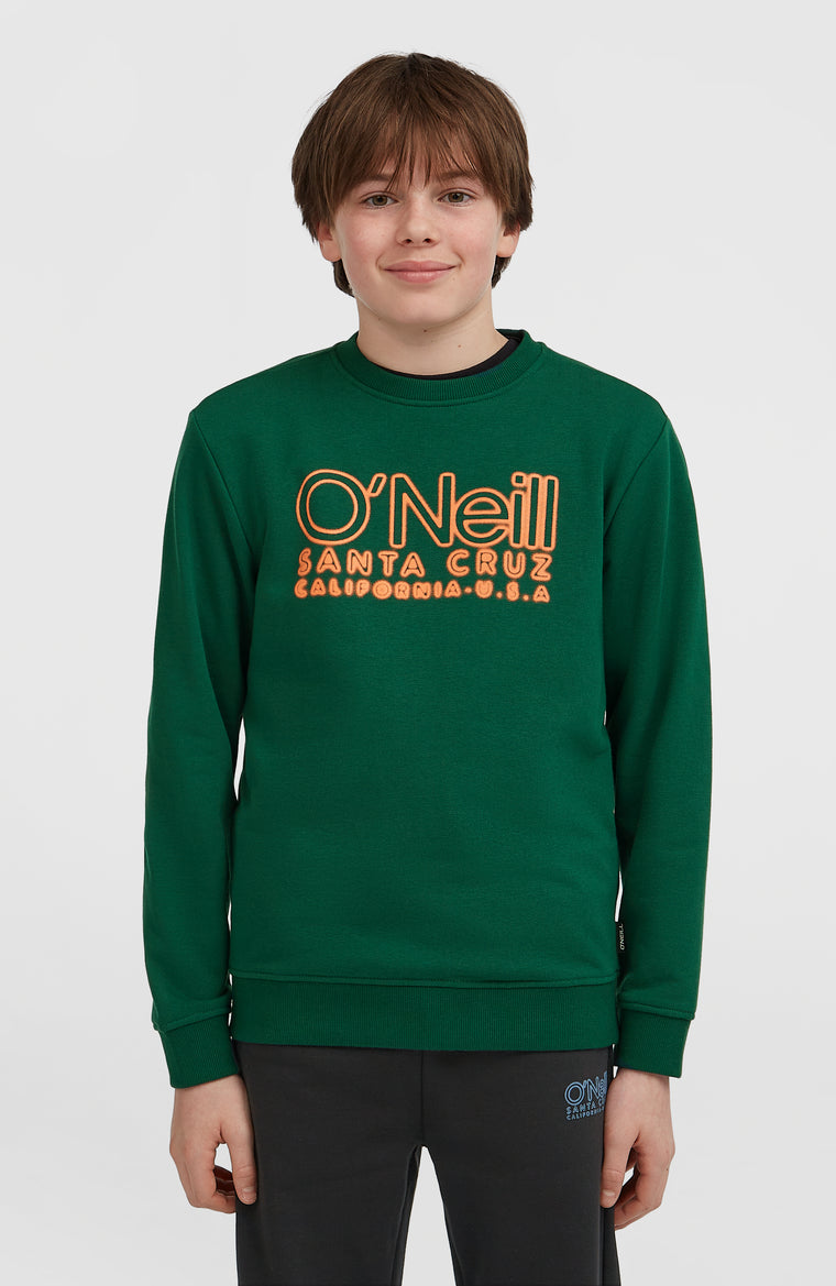 Essentials Crew Sweatshirt | Emerald Envy Essentials Crew Sweatshirt | Emerald Envy