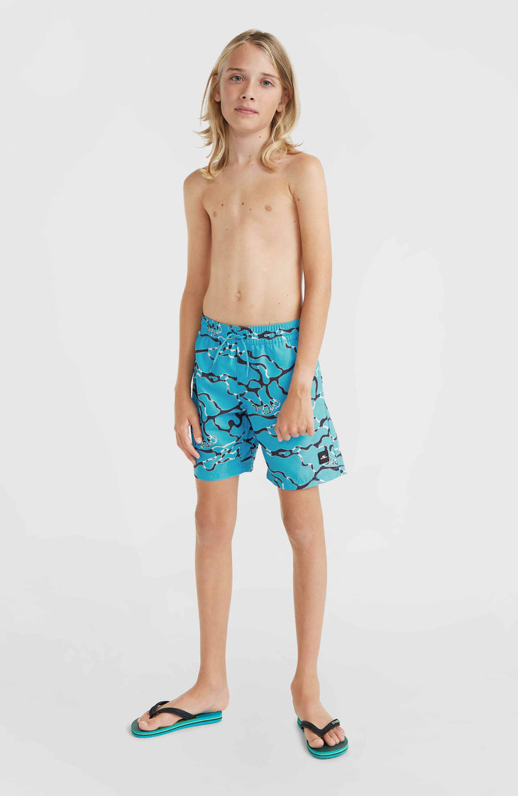 Jack O'Neill Cali Crazy 14'' Swim Shorts | Light Blue Ocean View