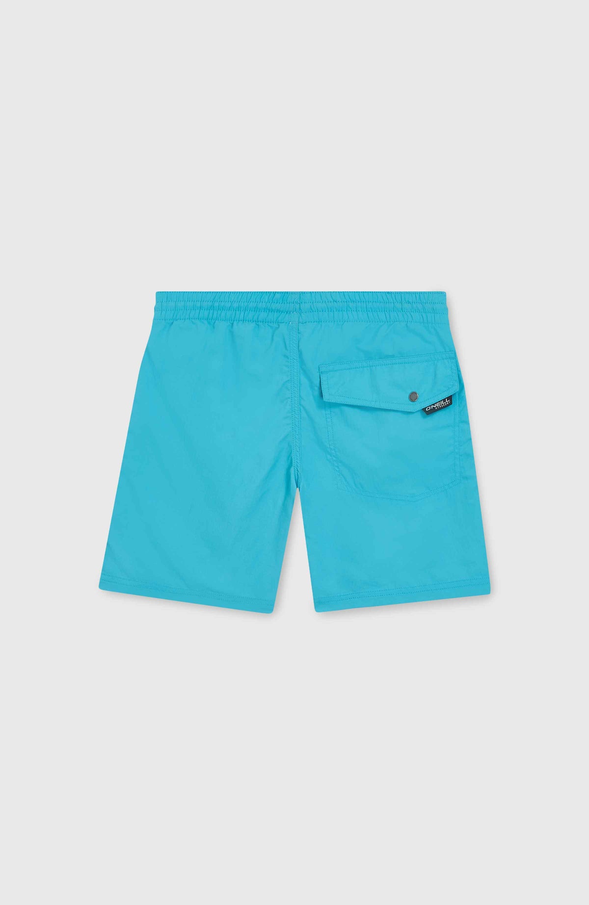 Vert 14'' Swim Shorts | Neon Blue