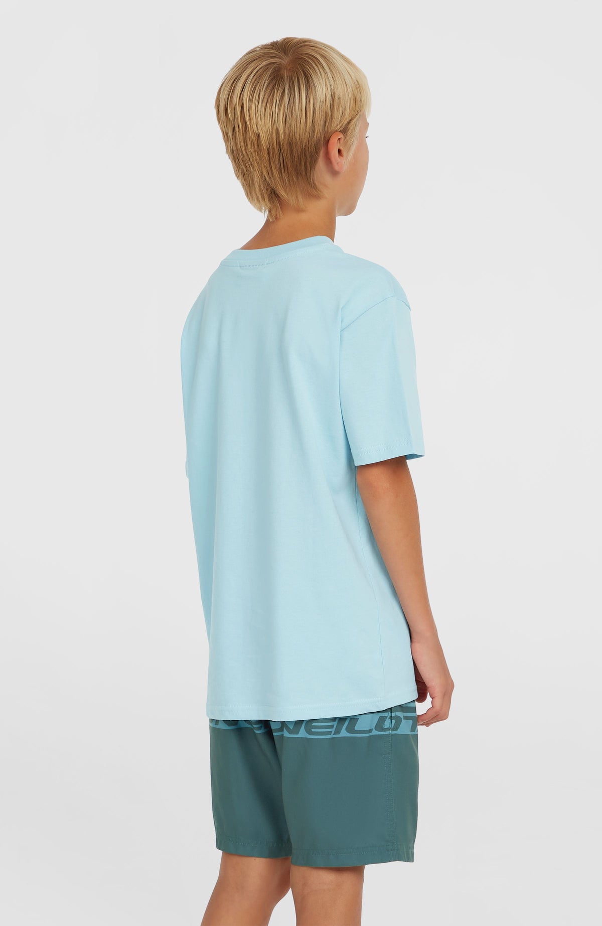 Cali Stripe 14'' Swim Shorts | Blue Upside Down