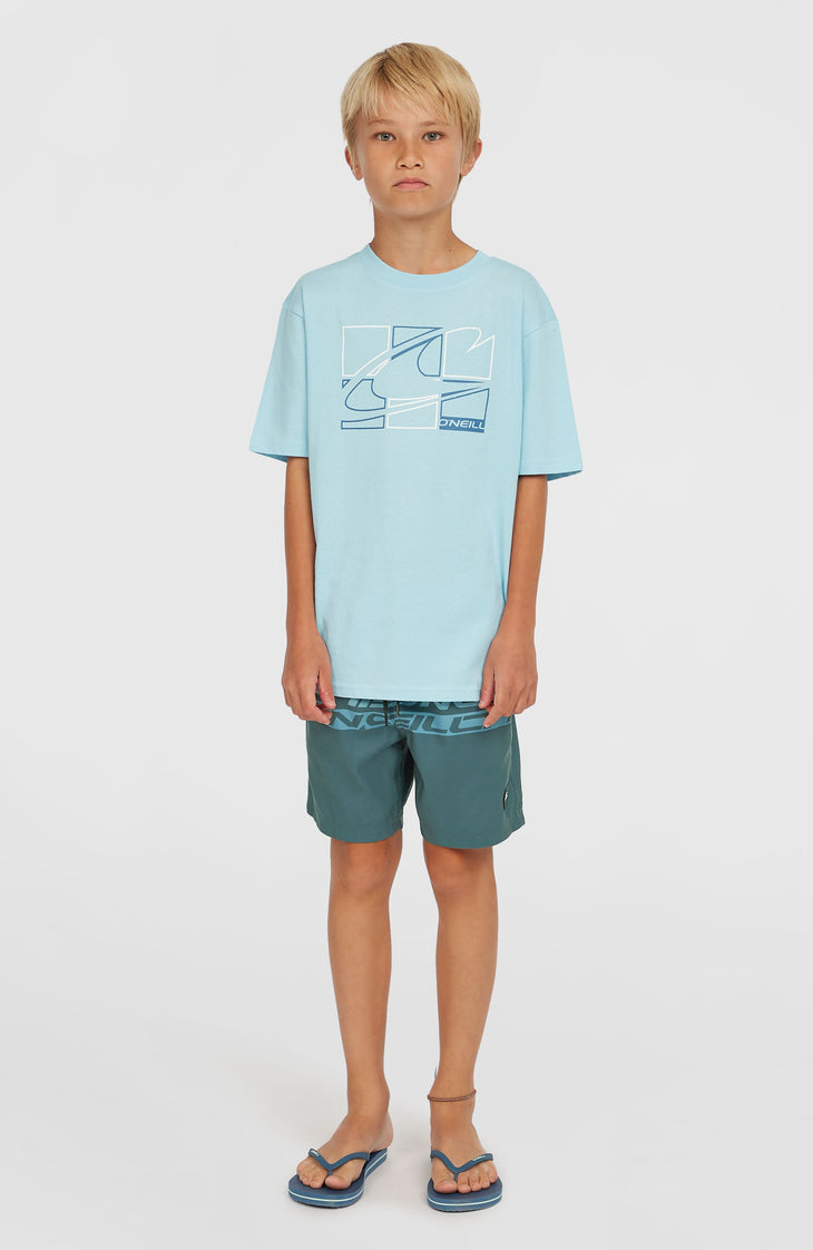 Cali Stripe 14'' Swim Shorts | Blue Upside Down