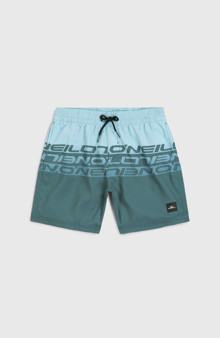 Cali Stripe 14'' Swim Shorts | Blue Upside Down