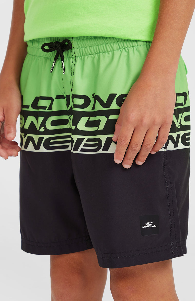 Cali Stripe 14'' Swim Shorts | Green Upside Down Cali Stripe 14'' Swim Shorts | Green Upside Down