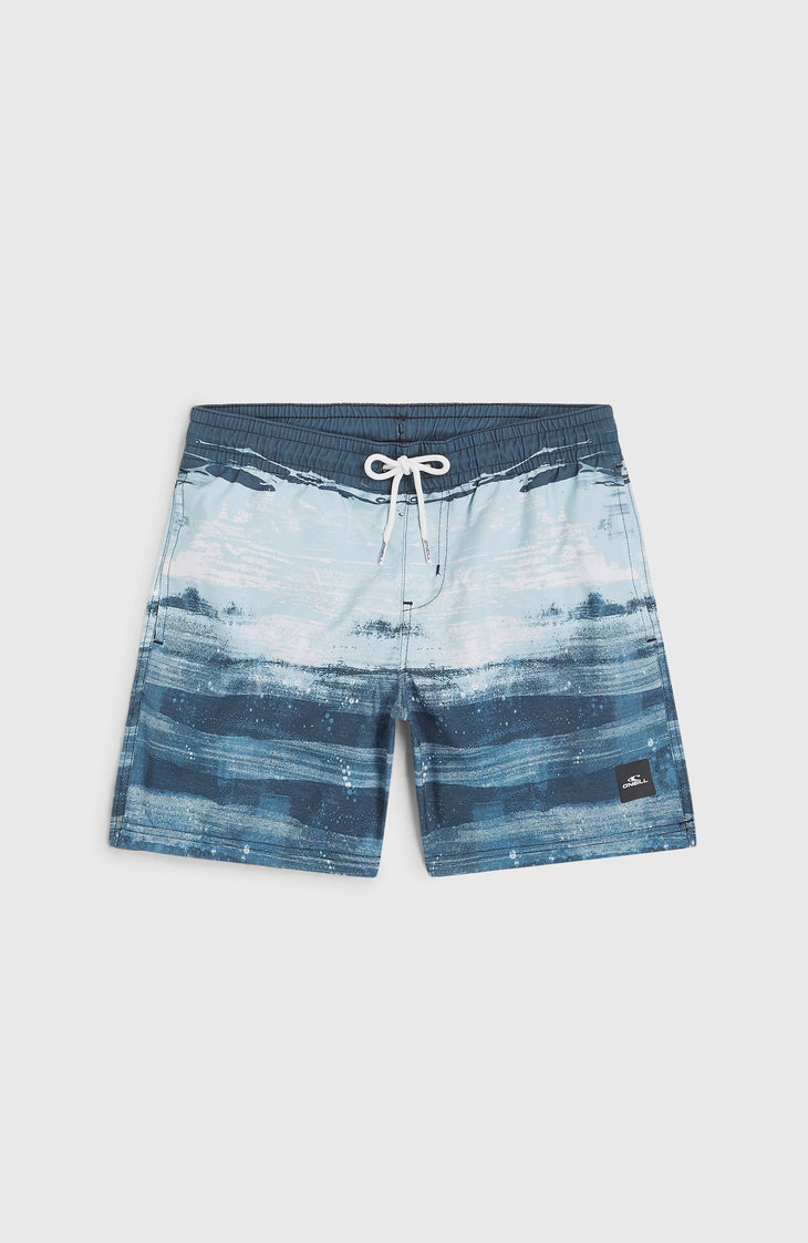 Cali Gradient 14'' Swim Shorts | Blue Melted Stripe Boys