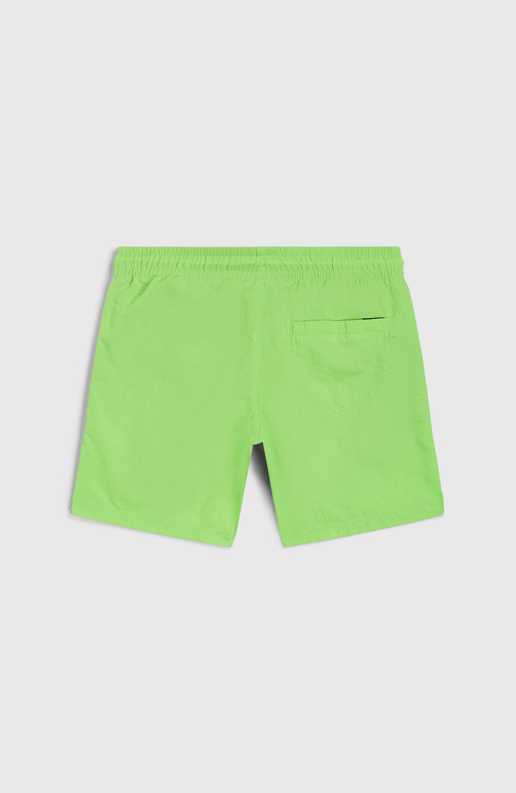Vert 14'' Swim Shorts | Paradise Valley