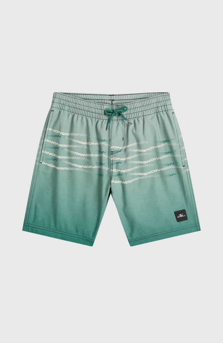 O'Neill First Swimshorts | Boys Green Heritage Flip