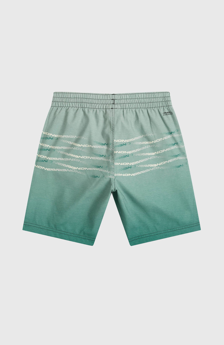 O'Neill First Swimshorts | Boys Green Heritage Flip