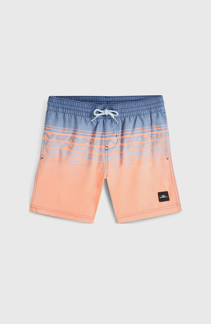 O'Neill Logo Stripe Swimshorts | Boys Purple Heritage O'Neill