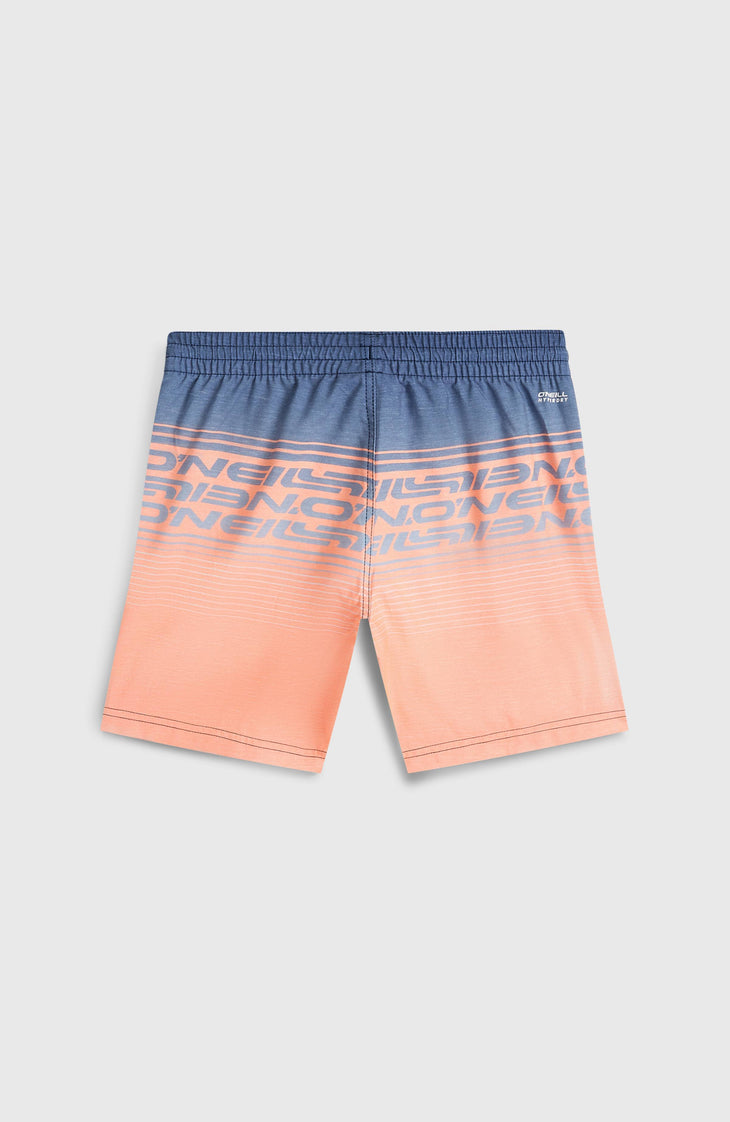 O'Neill Logo Stripe Swimshorts | Boys Purple Heritage O'Neill