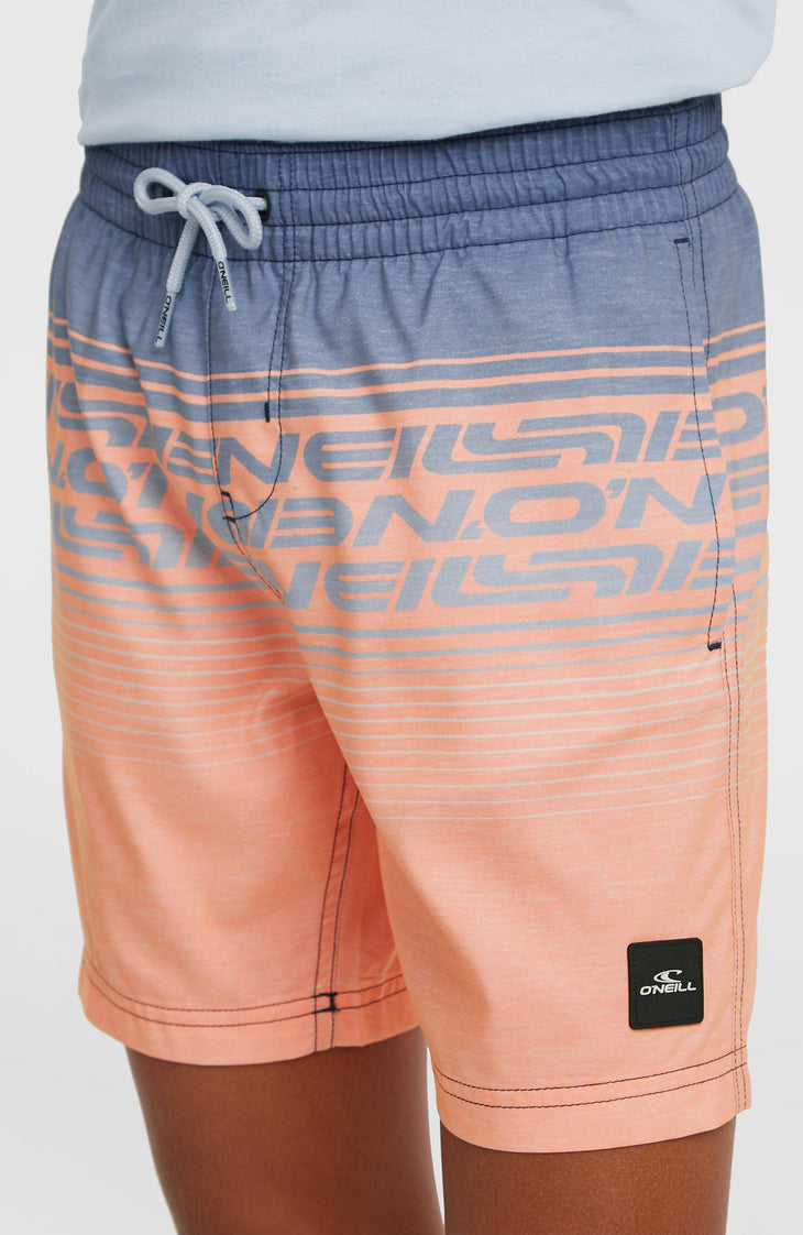 O'Neill Logo Stripe Swimshorts | Boys Purple Heritage O'Neill