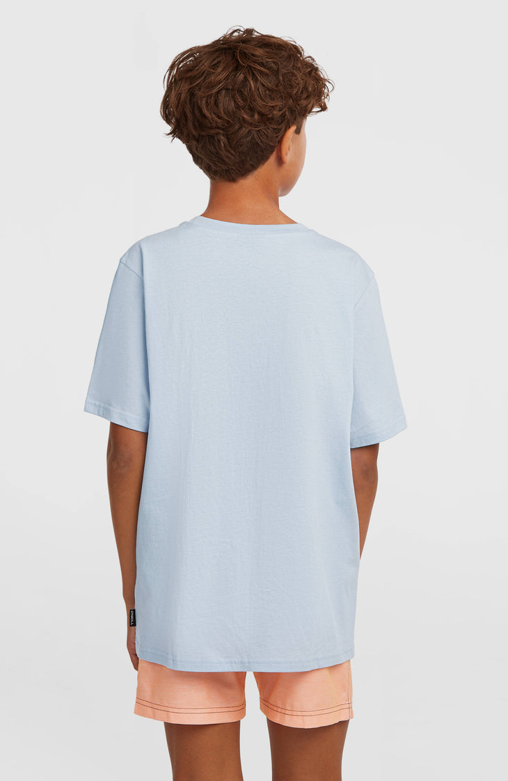 O'Neill Logo Stripe Swimshorts | Boys Purple Heritage O'Neill