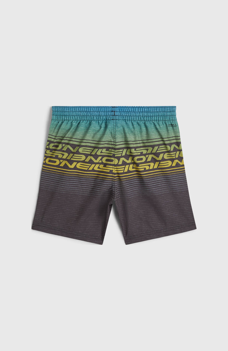 O'Neill Logo Stripe Swimshorts | Boys Blue Heritage O'Neill