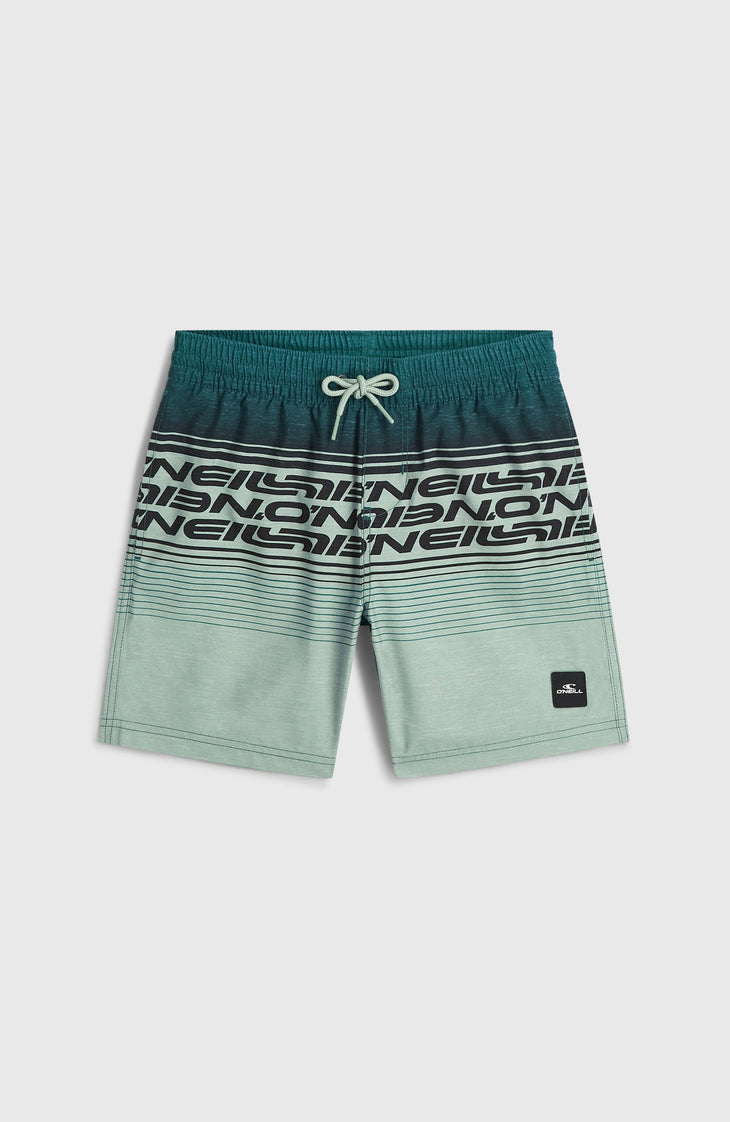O'Neill Logo Stripe Swimshorts | Boys Green Heritage O'Neill