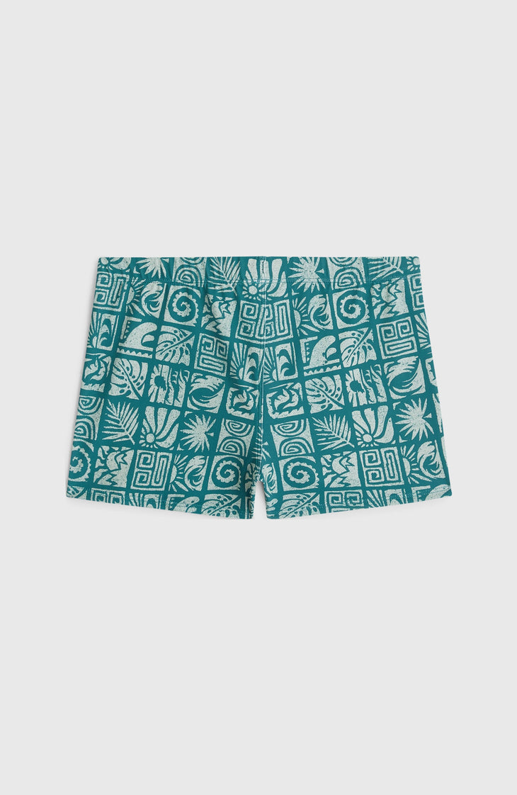 O'Neill Print Racer | Blue Bricks
