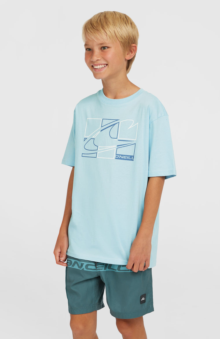 Graphic T-Shirt | Morning Glory Graphic T-Shirt | Morning Glory