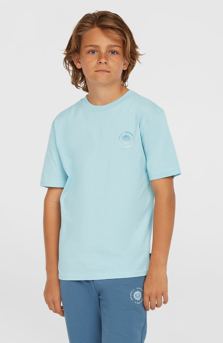Small Graphic T-Shirt | Morning Glory Small Graphic T-Shirt | Morning Glory